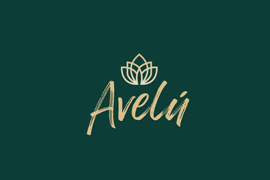 Hotel Avelú